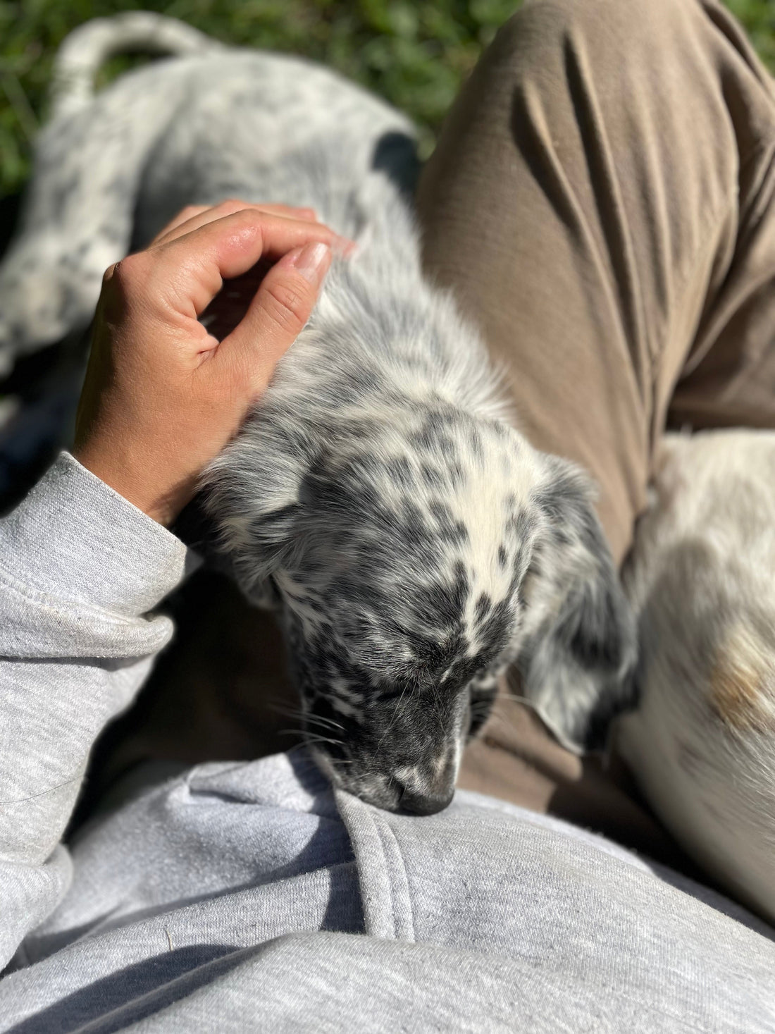 Nova the Newcomer: A Fluffy Adventure - JCKR clothing